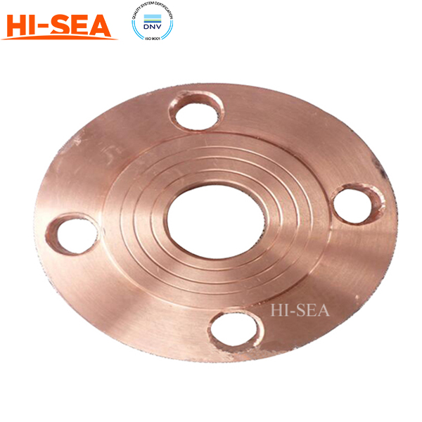 Solid Blind Flange 